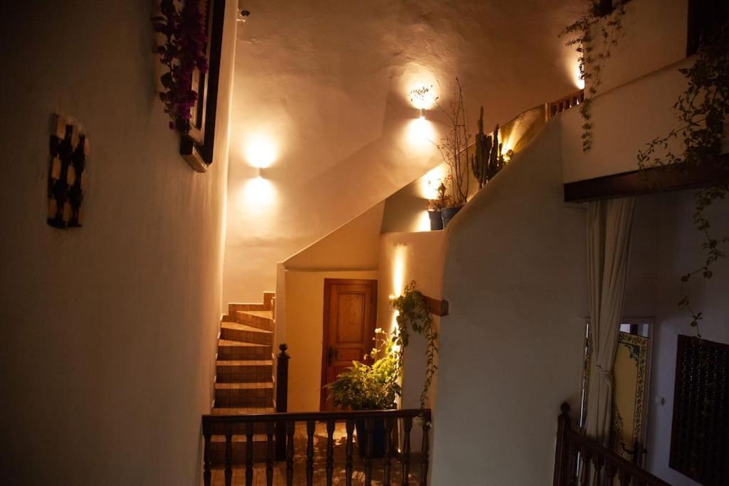 Dar Mounia Bed and Breakfast Ραμπάτ Εξωτερικό φωτογραφία